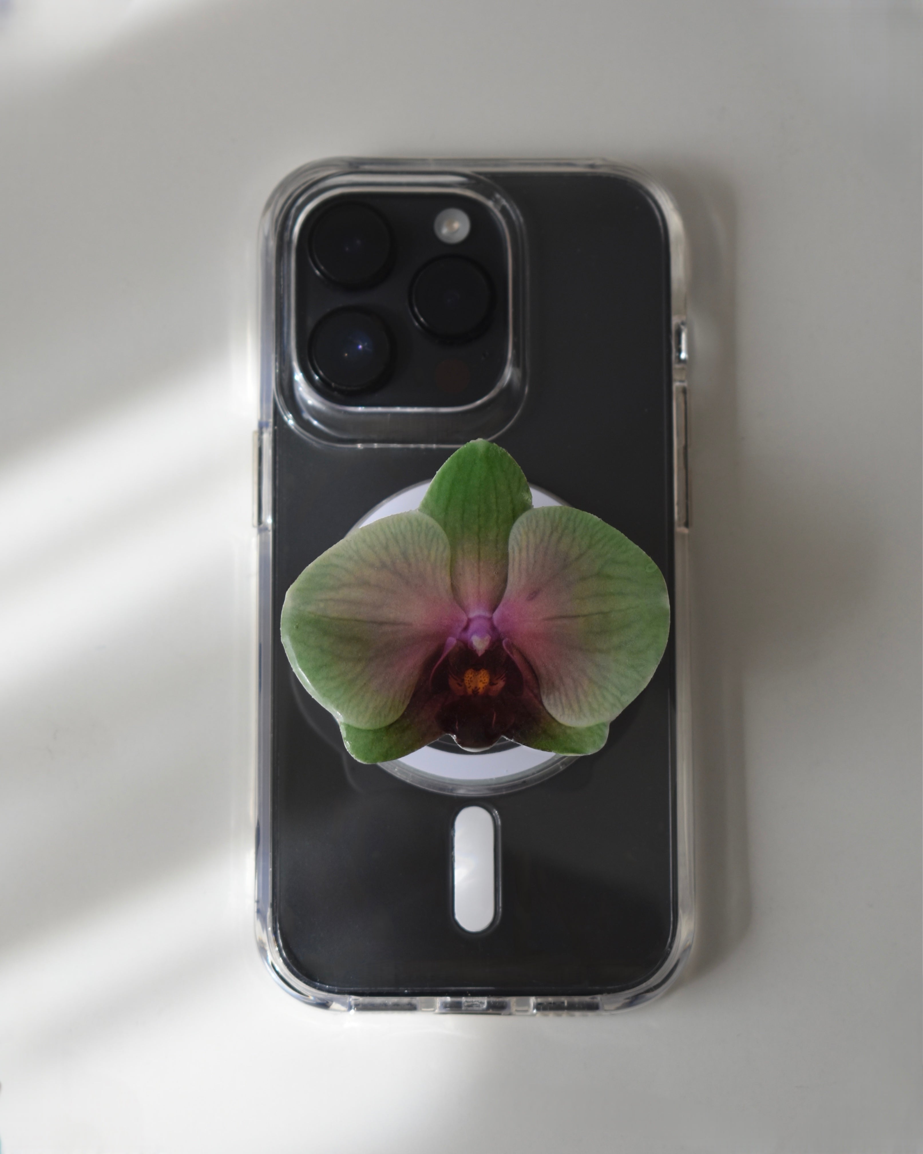 #03 Holder PopSocket - Colección Florecer - Verde