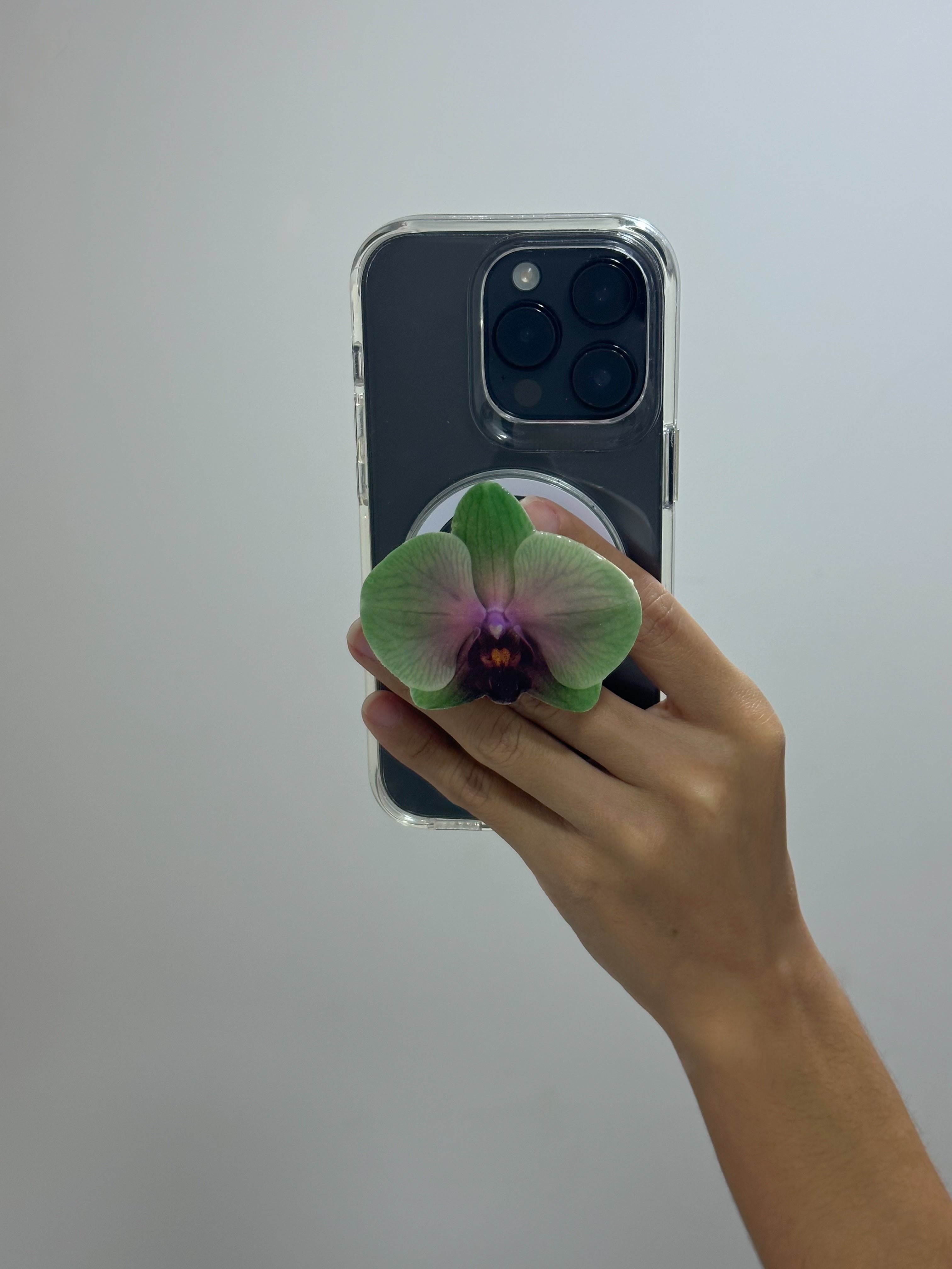#03 Holder PopSocket - Colección Florecer - Verde