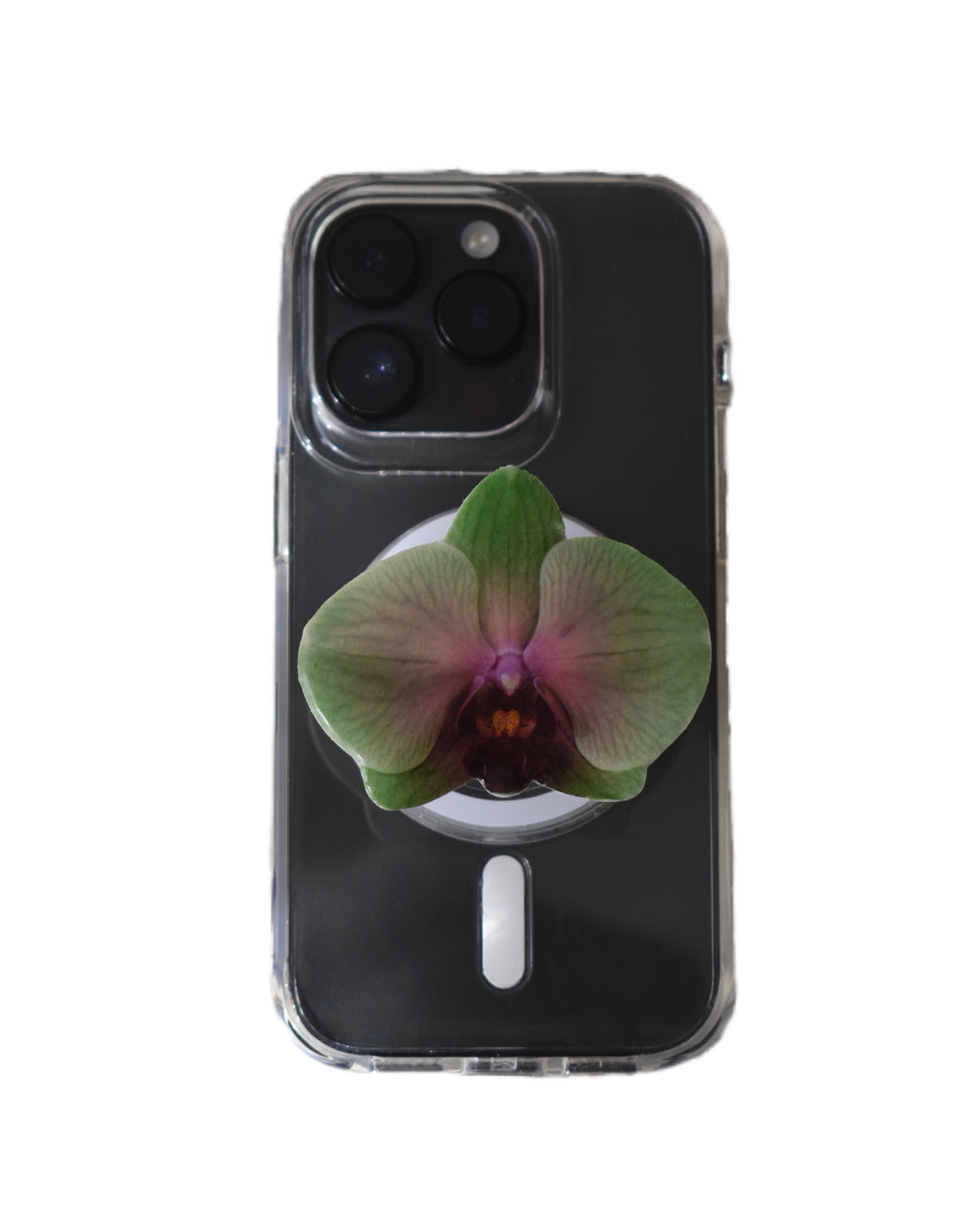 #03 Holder PopSocket - Colección Florecer - Verde