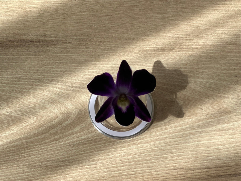 #05 Holder PopSocket - Colección Florecer - Morada