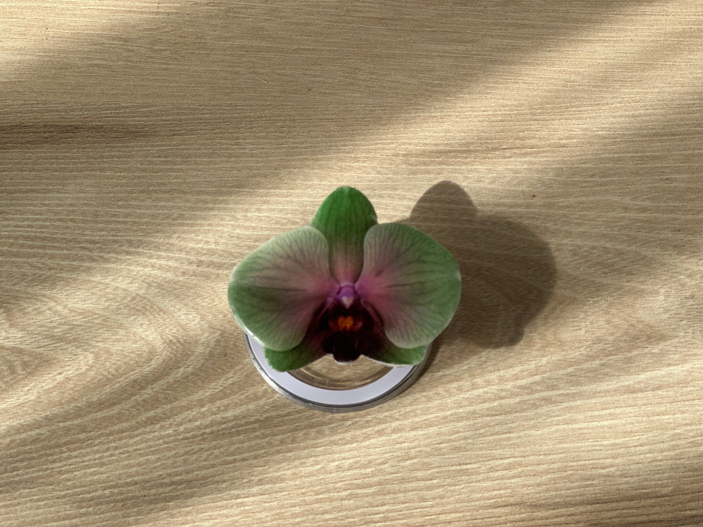 #03 Holder PopSocket - Colección Florecer - Verde