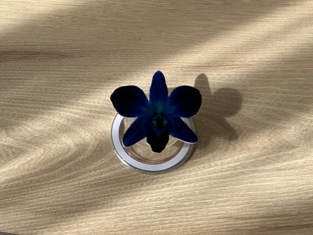 #02 Holder PopSocket - Colección Florecer - Azul