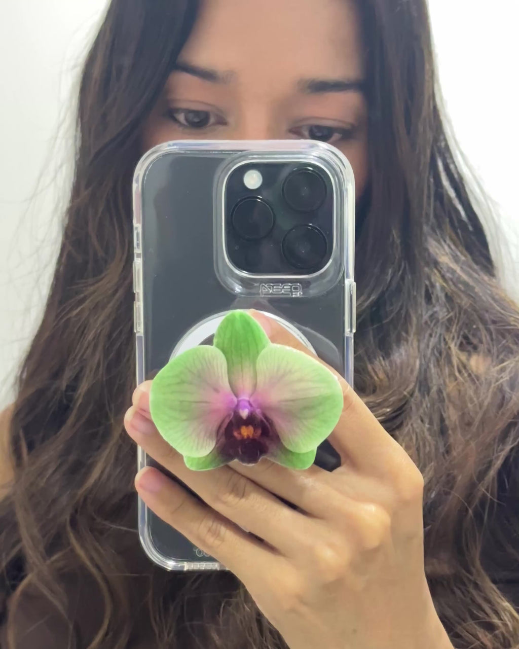 #03 Holder PopSocket - Colección Florecer - Verde